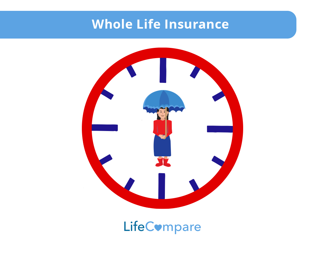 whole life insurance plan